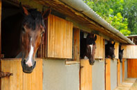 free Derry Downs stable construction quotes